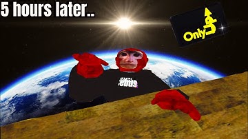 I Finally Beat Cebus Only Up….#cebus #gorillatag