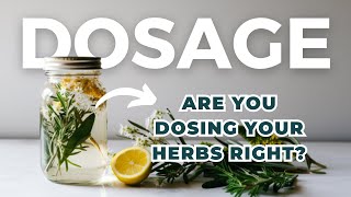 How to dose herbal medicine so it actually works!! (Spoiler Alert: you need more thank you think)