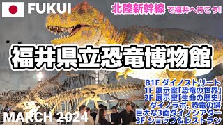 福井県立恐竜博物館】全フロア歩く2024 最近大幅リニューアル! 福井の