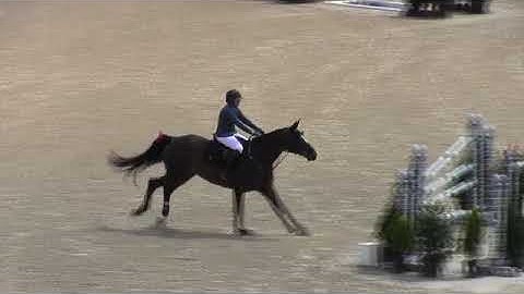 Video of AUCKLAND DE L