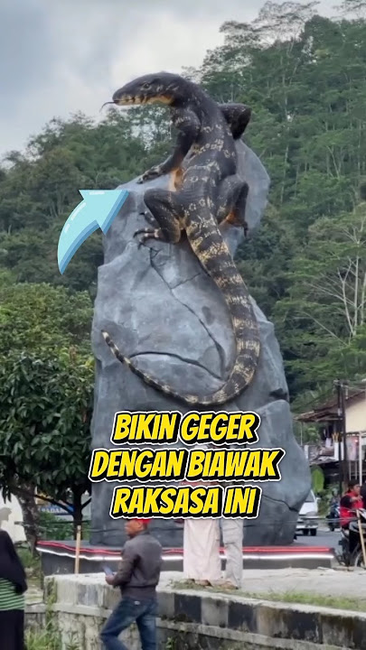Rame Banget, Ada Biawak Besar #short #lucu #ngakak #komedi #warga62 #videolucu #wonosobo #kabarviral