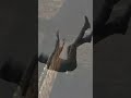 E a história se repete... #gameplay #gaming #soulslike #darksouls #undertale #seamlesscoop