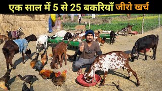 मास्टर नही बने तो बकरी पालन कर लिए | bakri palan business in hindi