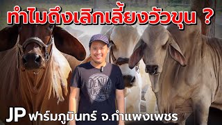 ทำไมถึงเลิกเลี้ยงวัวขุน ❓ | พี่จี๊ป ฟาร์มภูมินทร์ จ.กำแพงเพชร