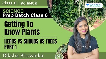 Herbs VS Shrubs VS Trees | Getting To Know Plants | Part 1 | Science Prep Batch Class 6 | Diksha