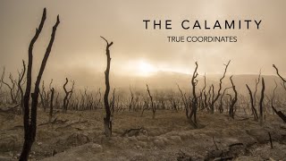 The Calamity - A Call to Climate Action (Official Video)