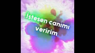 sen ne dersin de olmaz