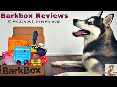 is-barkbox-worth-it?-read-real-barkbox-reviews-only-at-woofwoofreviews.com