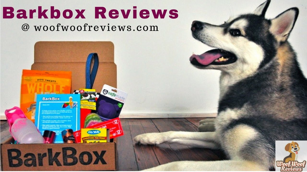 Is Barkbox Worth It Read Real Barkbox Reviews Only At WoofWoofReviews is-barkbox-worth-it-read-real-barkbox-reviews-only-at-woofwoofreviews