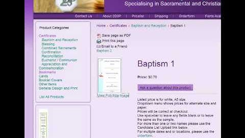 Internet Explorer Compatibility issue.wmv