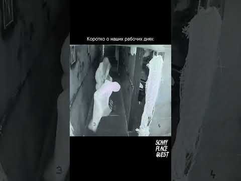 Квест «Phasmophobia» СПБ. Наш тгк: QUEST STARS SCARY PLACE SPB #квесты #хоррор #хоррорквесты#страх