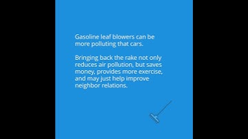 Energy Tip 14 - Bring Back the Rake