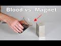 Giant Neodymium Monster Magnet vs Blood! It's Attracted!