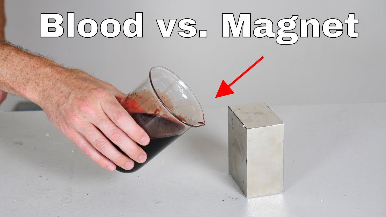 Giant Neodymium Monster Magnet Vs Blood! It'S Attracted!