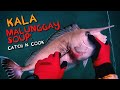 Kala (UnicornFish) Malunggay Soup Catch and Cook Spearfishing Hawaii