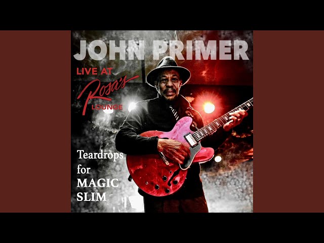 John Primer - Ain't Doing Too Bad