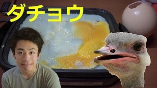 茨城県産ダチョウの卵で巨大卵料理をつくって食べてみよう 簡単 旨い 安い 無料 レシピ動画おまとめサイト