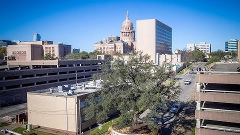 Mature Tree Relocation Project | City of Austin Large Tree Transplanting | Environmental Design Inc.