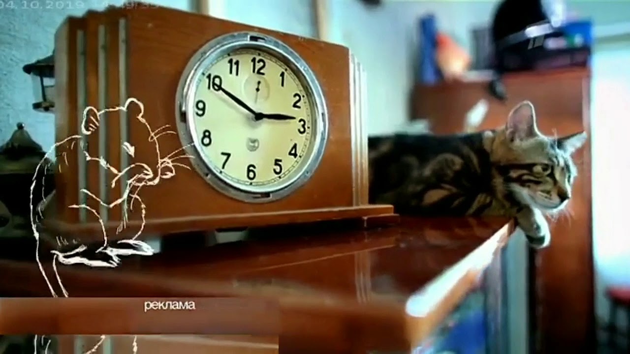 Реклама 1 канала сегодня. Рекламная заставка (первый канал, 2017) часы. Рекламные часы первого канала. Реклама на 1 канале. Рекламные заставки с часами на первом канале.
