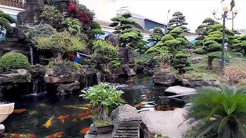 Sân vườn và hồ cá koi của một đại gia ở phủ lý hà nam cực đẹp