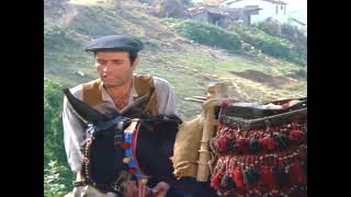 İbo İle Güllüşah - Ulan Sen Konuşmayı Ne Zaman Öğrendin