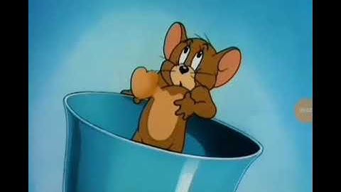 Class 8 : Biology : Human Organs Systems : Spinal Cord And Actions Controlled By Nervous System