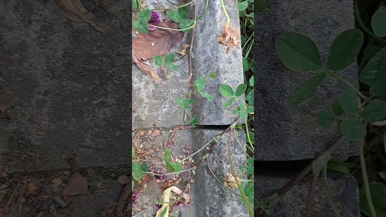 My procedure for saving 