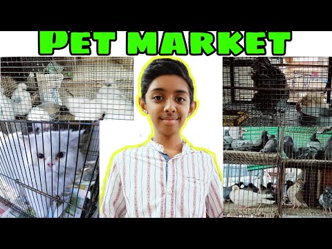 Shivaji Nagar Pet Market Shariff's Gaming