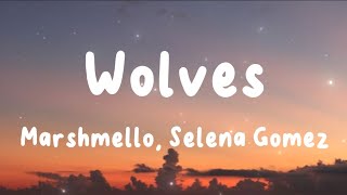 Wolves - Marshmello, Selena Gomez  (Lyrics) | Alan Walker, Pitbull, Jeremy Zucker, ...