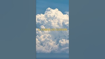 🤯 Kinds Of Clouds #shorts #facts #clouds #cirrus #cumulus #stratus #nimbus #sky