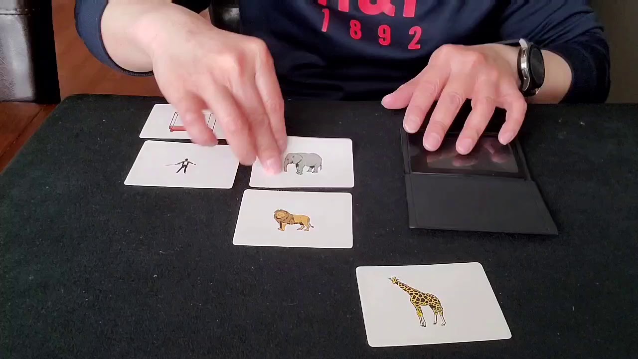 Wild Wallet Tenyo Perform by Ben Yu - YouTube