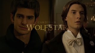 Wolfstar - Cardigan