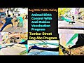 Tumkur City Street Dog Abc Program | Amazing Dog Catching Video #dog #animals #dogshorts #shorts