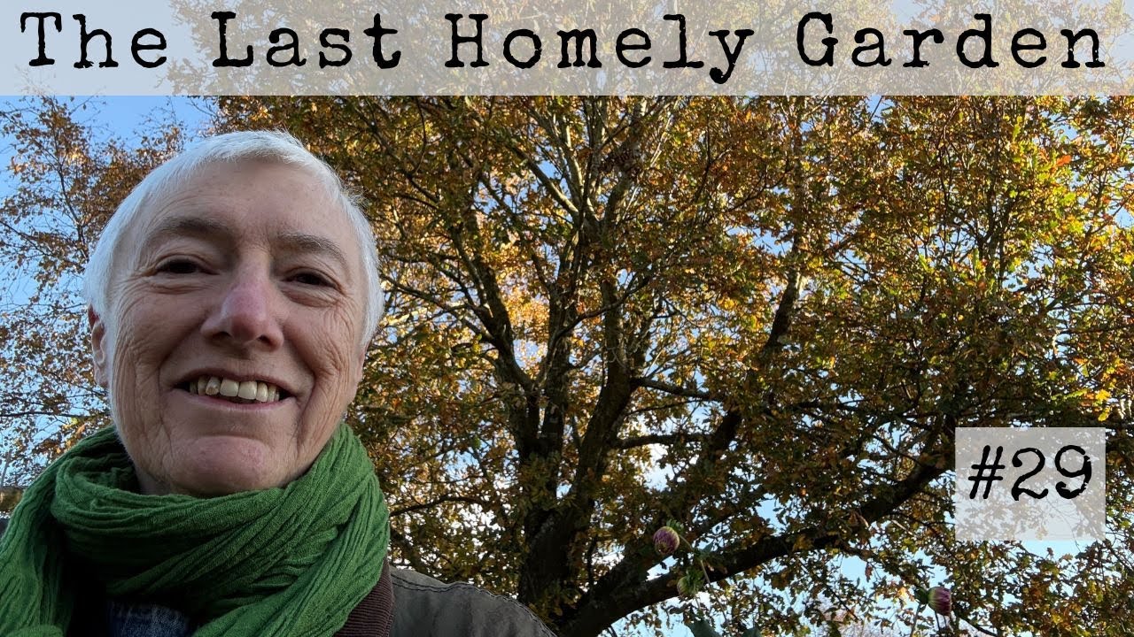 Planting a Forest. One Acorn at a Time! #29