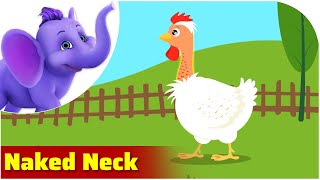 Naked Neck / Weird Animal Songs / Appu Series