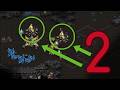 2 Gate Opener vs Zerg is SO COOL!
