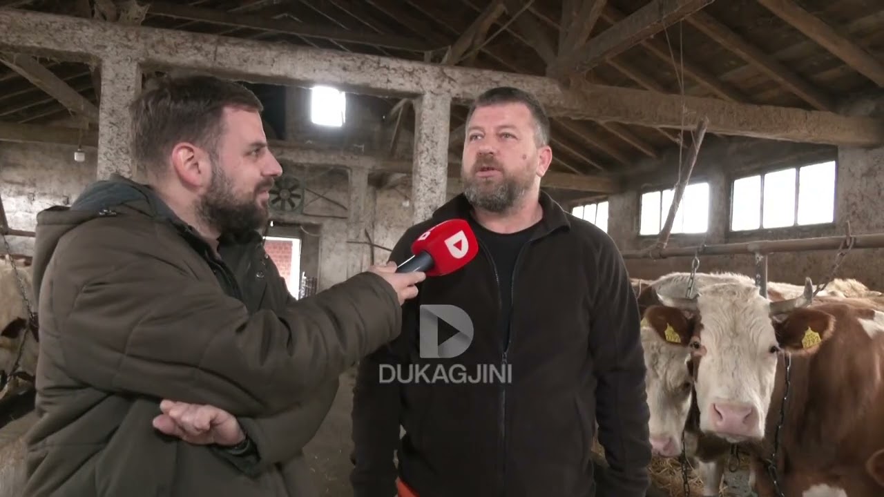 “DUA TË KTHEHEM ATY KU MË JANË VRARË MIXHALLARËT...”/ HISTORIA E SUKSESIT TË LUTFI KODRA