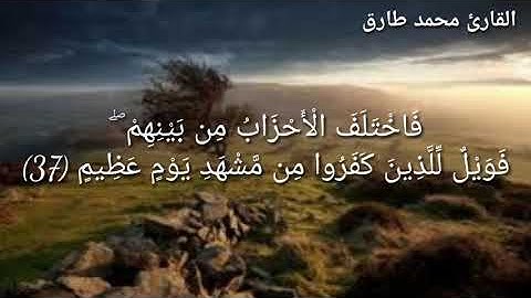 ما تيسر من سورة "مريم" طارق محمد