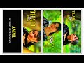 thaliya theva illa love song video editing alight motion instagram trending video editing 3d editing