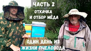 ОТКАЧКА И ОТБОР МЁДА