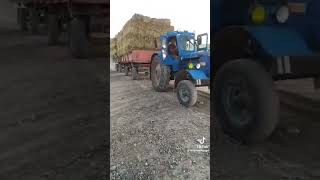 т40 не смог#shortvideo #Damir Agro Dizel