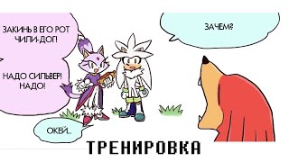 ТРЕНИРОВКА (Sonic The Hedgehog Comic Dub) [RUS DUB]