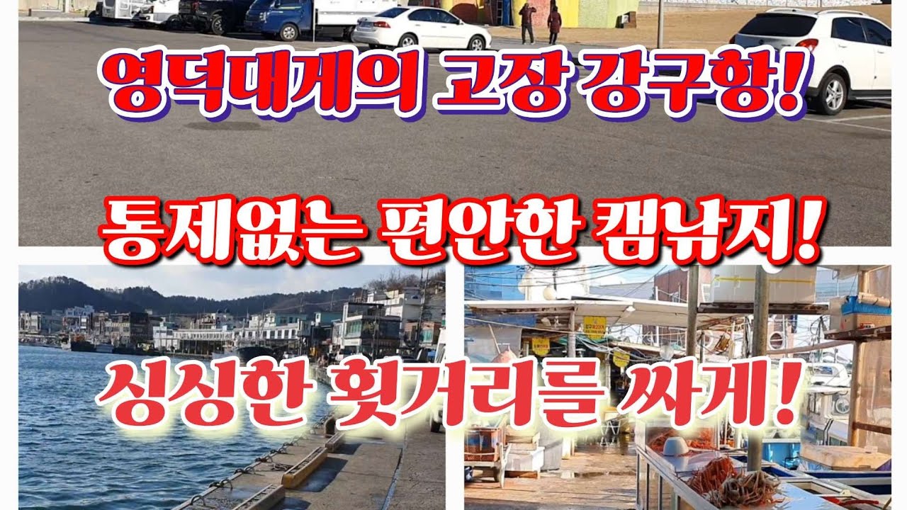 영덕대게의 고장 강구항! 통제않는 편안한 캠낚지! 싱싱한 해산물 싸게 먹을 수 있는 곳! #영덕대게 #강구항 #바다낚시 #동해안여행