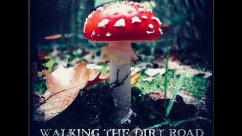 FREE ON THE ROAD — LIFE IS THE ADVENTURE 🌍🎸✨