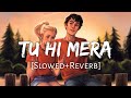 Tu Hi Mera [Slowed+Reverb]-Jannat 2 | Textaudio Lyrics