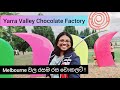 Yarra Valley Chocolate Factory !