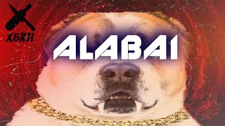 HBKN - Alabai - Hardbass Hardcore
Song - https://open.spotify.com/album/11SB9088q7w5FVYLR9SMaf?referral=labelaffiliate&utm_source=1011lwbmtUny&utm_medium=Indie_Distrokid&utm_campaign=labelaffiliate
Support us with SUPER THANKS and well bring you a lot of turbo gangsta rave hardcore bounce hardbass hahahaha
Love you all! Legends never die! HBKN - Alabai - Hardbass Hardcore