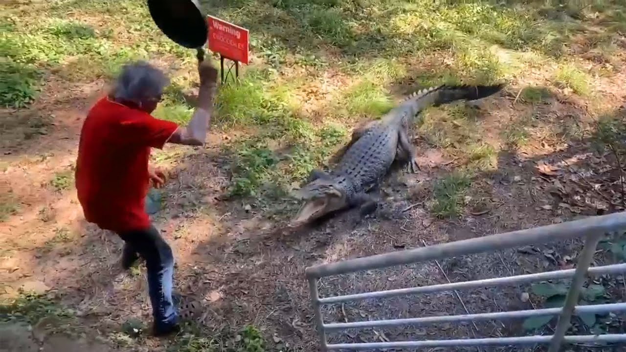 r/Storiesaboutkevin Kevin Escaped the Cops & Wrestled a Crocodile