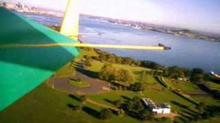 Persistent magpie attacks rc plane