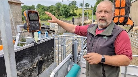 Shepherdsmate:Weigh Scale & EID Reader